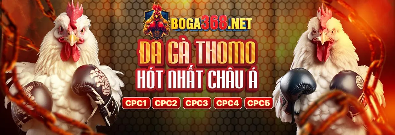 Các loại hình cá cược phổ biến tại sx666 win